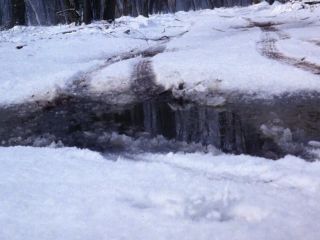 Nudeceleb- Jacqueline Lovell Rhonda Griffin-Hideous (1997) HD 1080p