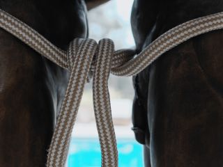 Nudeceleb- Roxanne Miller – The Puzzle Palace (2024) HD 1080p