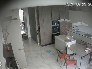 Hackingcameras_30488