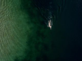 Nudeceleb- Rosalie Thomass – Rufmord (2018) HD 720p