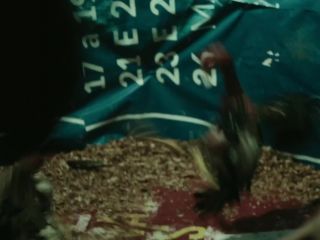 Nudeceleb- Stefani Mota – Irmaos Freitas s01e01(2019) HD 1080p