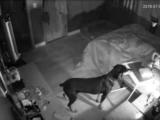 Webcam hacking Hackingcameras_7398