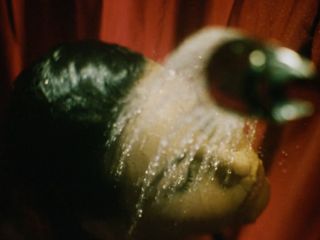 Nudeceleb- Gina Gershon – Black and White (1999) HD 1080p