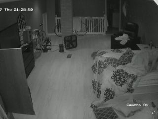 Webcam hacking Hackingcameras_301