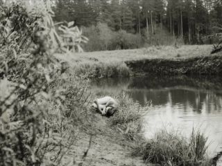 Nudeceleb- Anastasia Baranovskaya – Inna (2019) HD 1080p