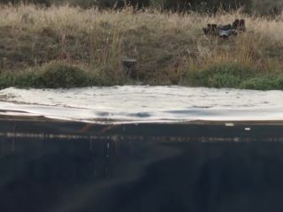 Nudeceleb- Libby Munro – The Hunted (2018) HD 1080p