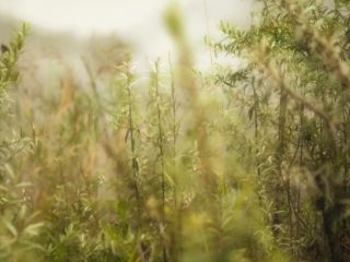 Nudeceleb- Yulia Yanovskaya – God of Japan (2019) HD 1080p