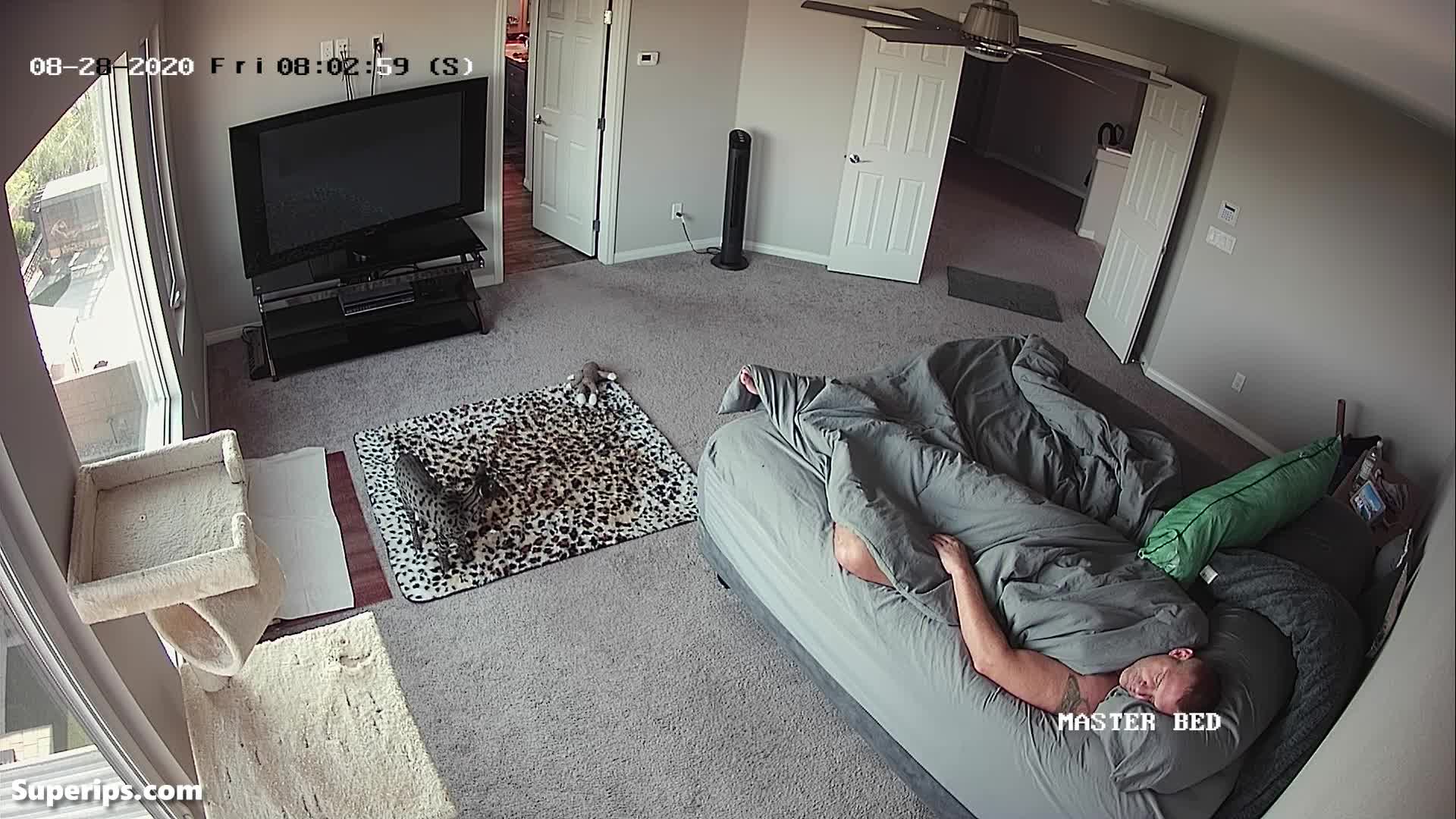 IPCAM – Rich British couple brutally fucks in their bed