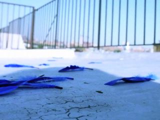 Nudeceleb- Constance Labbe – Coco Calypso (2012) HD 720p