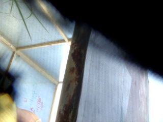 Real Hidden Shower 52