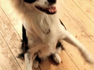 Nudeceleb- Sabine Marcus – Brief eines Unbekannten (2005) HD 720p