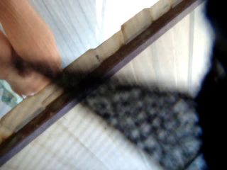 Real Hidden Shower 125
