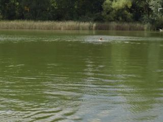 Nudeceleb- Anna Bruggemann, Marie Baumer – Mitte Ende August (2009) HD 1080p