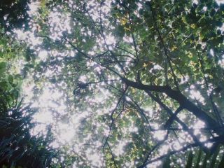 Nudeceleb- Kani Kusruti, Divya Prabha – All We Imagine as Light (2024) HD 1080p