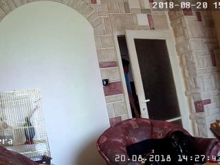 Webcam hacking Hackingcameras_2773