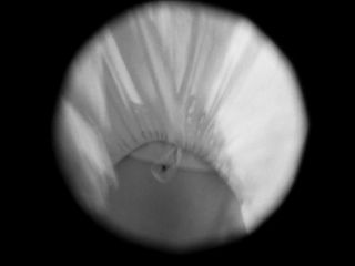 Nudeceleb- Elina Lowensohn Alexandra Courquet Clara Guiomar Isabelle Lapouge Laure Lapeyre Joëlle Pinardon Laurène Faure Tamara Cauzot Valerie Moreau Audrey Le Corre – Boro in the Box (2011) HD 1080p