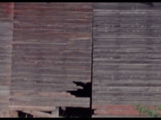 Preview 5