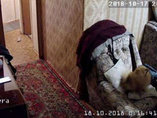 Webcam hacking Hackingcameras_2761