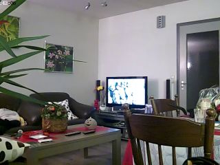 Webcam hacking Hackingcameras_631