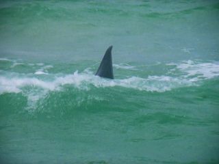 Nudeceleb- Yamilet Hidalgo, Sarah Buxton, etc – Nightmare Beach (1989) HD 1080p