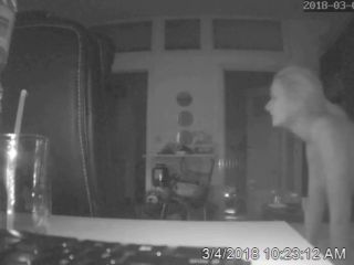 Webcam hacking Hackingcameras_2981