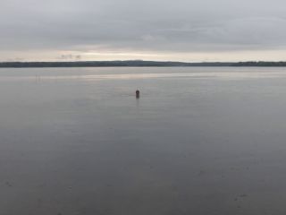 Nudeceleb- Elina Brotherus – The Black Bay Sequence (2010) HD 1080p