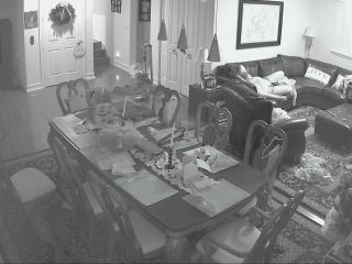 Webcam hacking Hackingcameras_4684