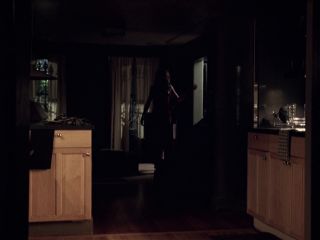 Nudeceleb- Erica Leerhsen Tracie Thoms – The Warrior Class (2007) HD 1080p