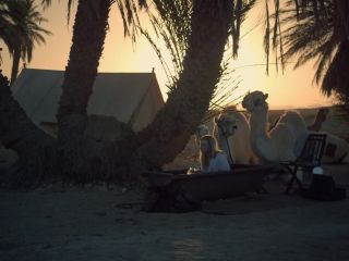 Nudeceleb- Nicole Kidman-Queen Of The Desert (2016) HD 1080p