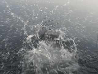 Nudeceleb- Therese Hamer, Constanze Wachter, Lea Draeger, Nele Rosetz – Frauensee (2012) HD 720p